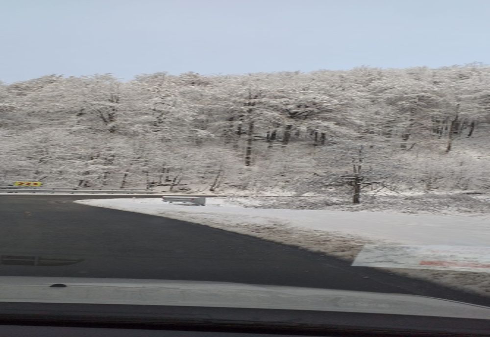 A nins în județul Maramureș