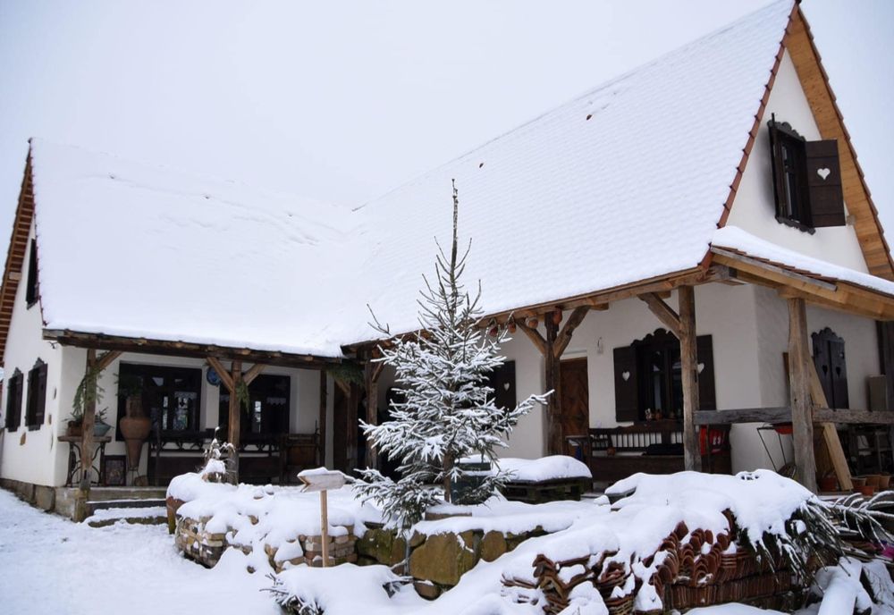 Județul Maramureș, prezență apreciată în cadrul ediției virtuale a Târgului de Turism al României 2021