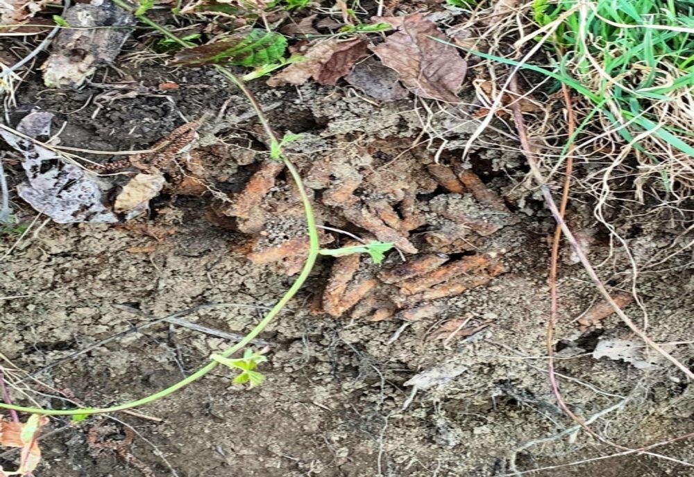 Peste 200 de cartușe, de calibrul 7,62 milimetri și alte elemente de muniție au fost asanate ieri de către echipa pirotehnică a I.S.U. Maramureș