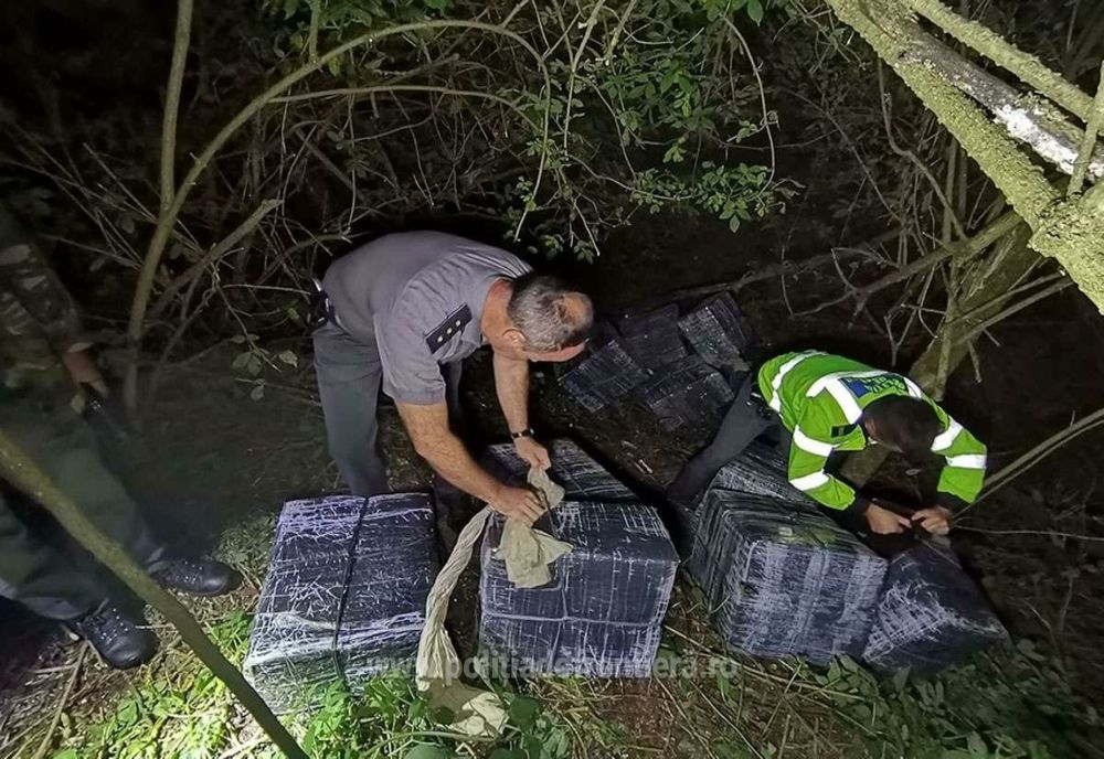 Zece mii de pachete cu țigări de contrabandă, confiscate la granița cu Ucraina