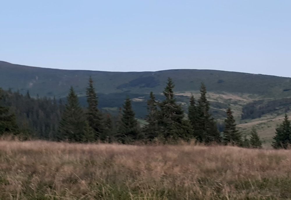 Bărbat din Bistrița-Năsăud, găsit spânzurat lângă o pădure în Maramureș