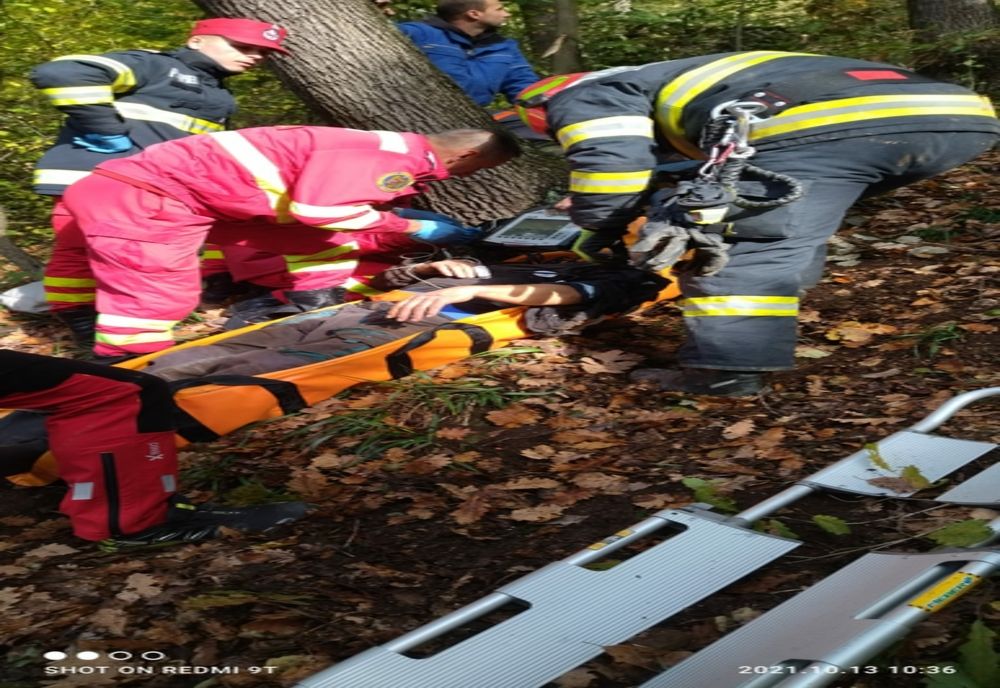 Bărbat rănit de un copac în pădurea Tăuții de Sus! A ajuns de urgenţă la spital