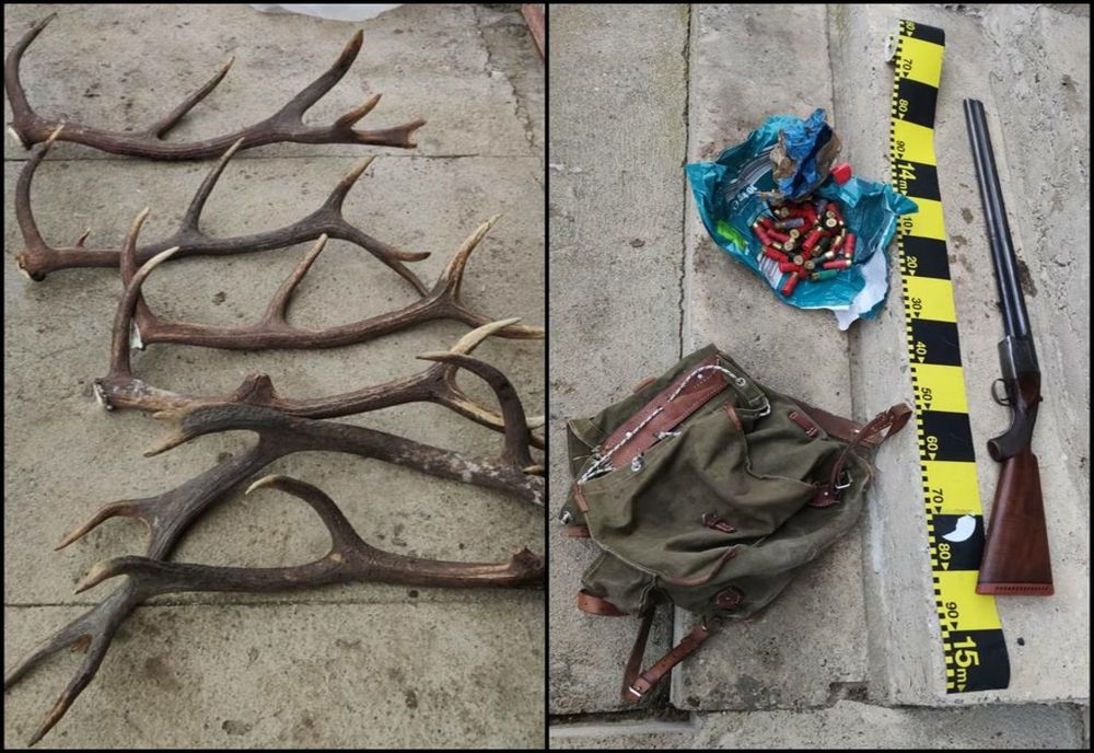 Percheziţie în Iadăra! Oamenii legii au confiscat o armă, muniţie, trofee şi carne de vânat (FOTO)