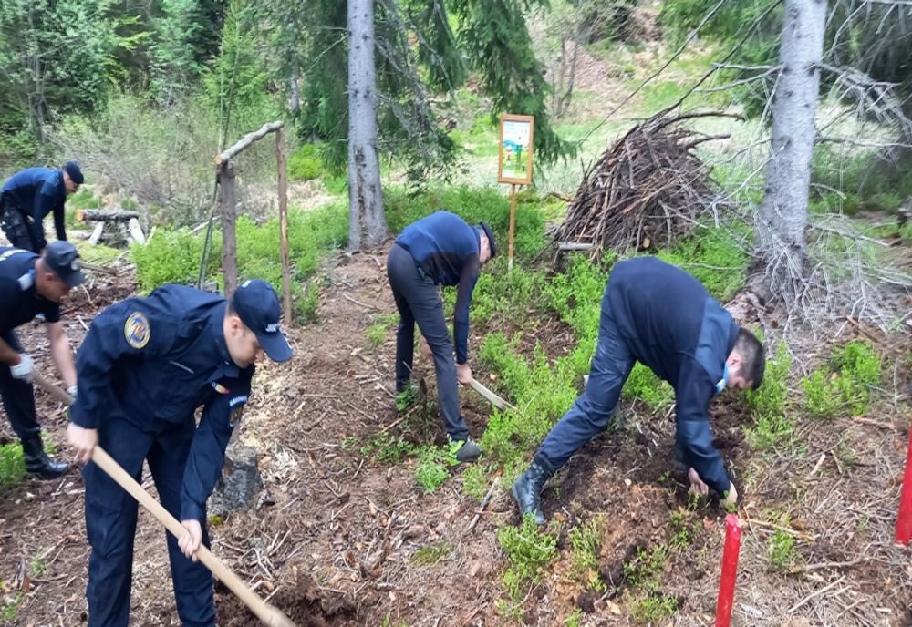 IJJ Maramureș: Plantăm pentru viitor, pentru că ne pasă de mediul în care trăim