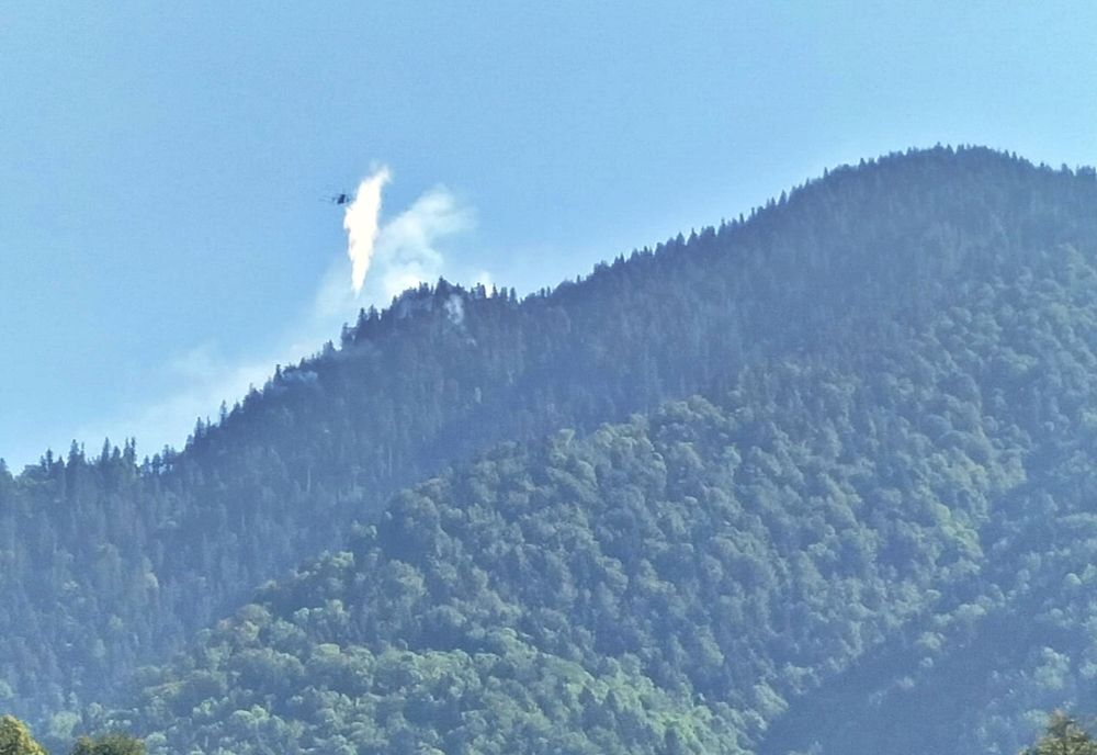 Pompierii militari maramureșeni au intervenit la un incendiu de fond forestier semnalat pe Valea Vaserului