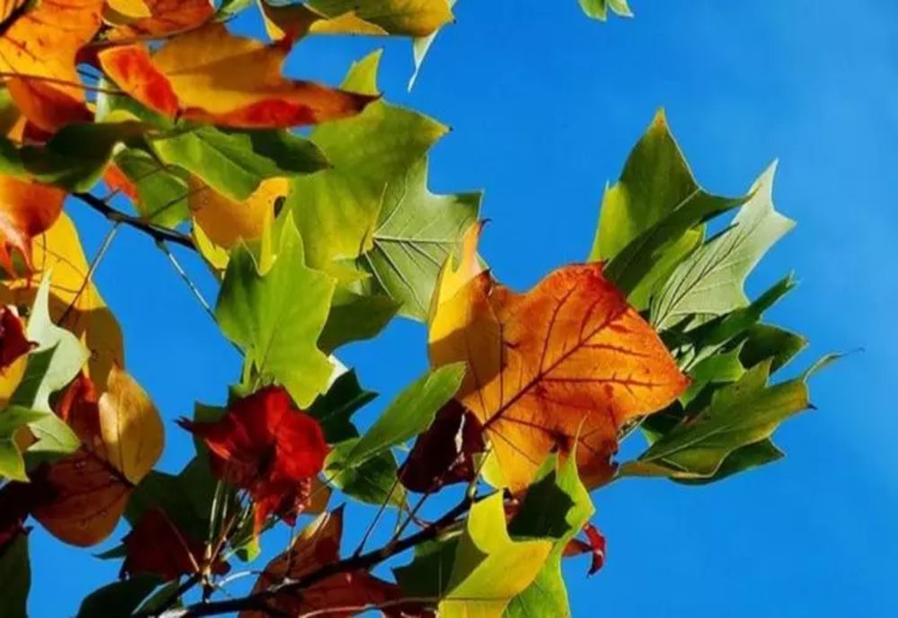 Vreme deosebit de caldă, temperaturi de până la 27 de grade