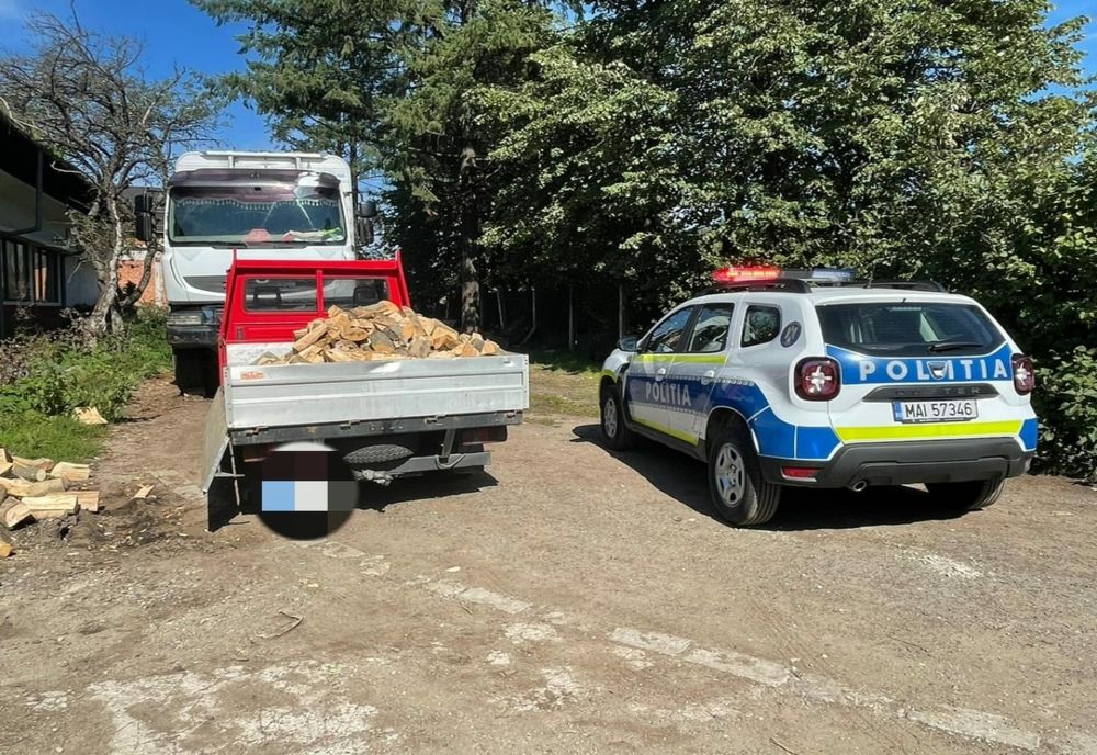 Material lemnos confiscat în localitatea Sârbi