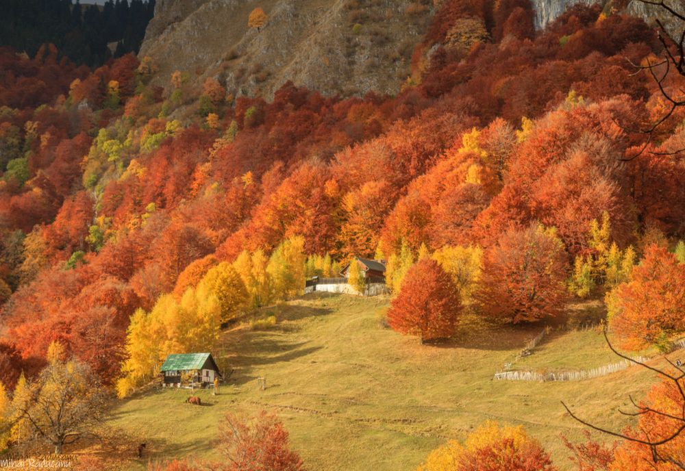 Escapadele la munte și city break-uri în țară, cele mai căutate în această perioadă