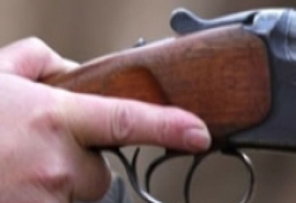 Câine împușcat în Rona de Jos