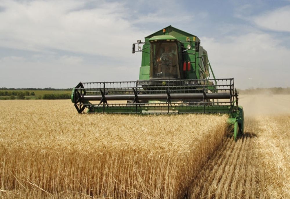 Dezvăluirile specialiștilor: România poate hrăni 70 de milioane de locuitori, fără importuri