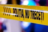 Accident tragic în Maramureș. Un bărbat a fost strivit de copacul pe care încerca să-l taie