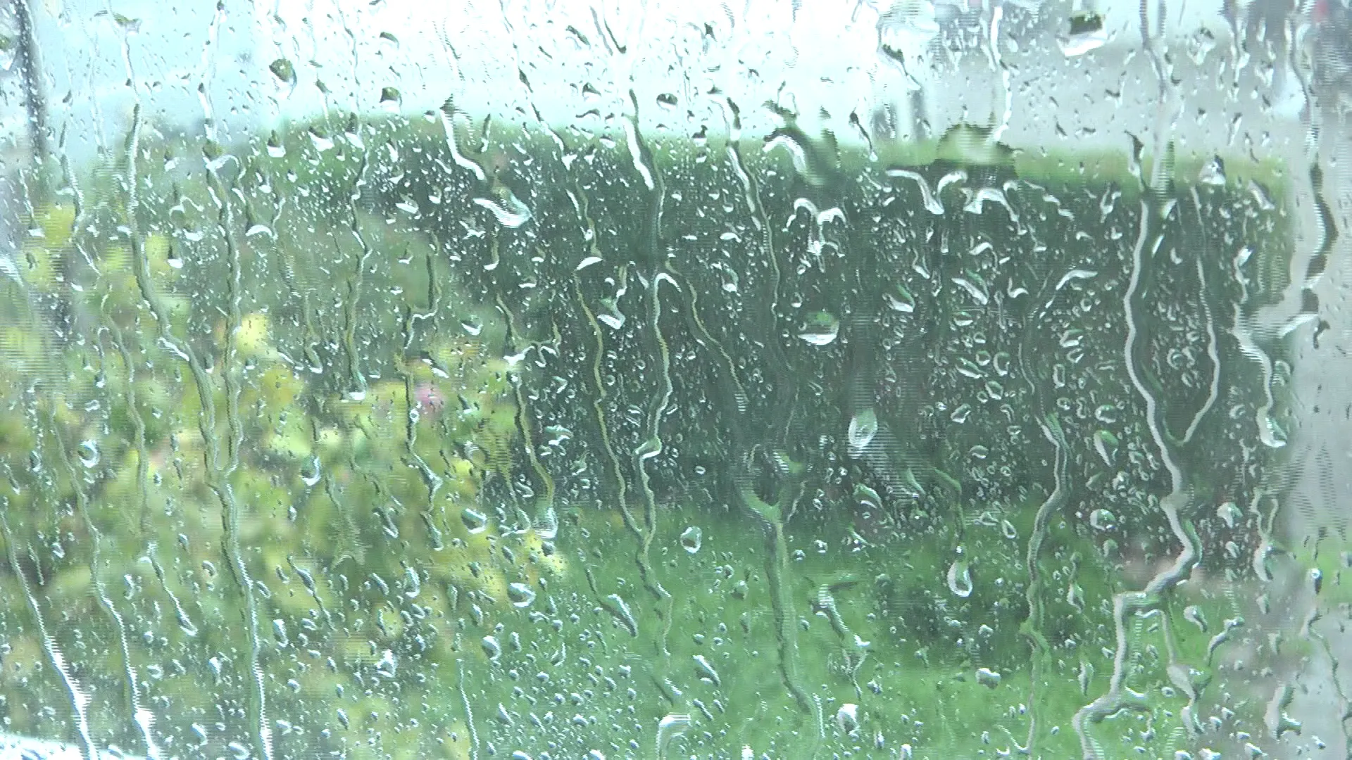 METEO