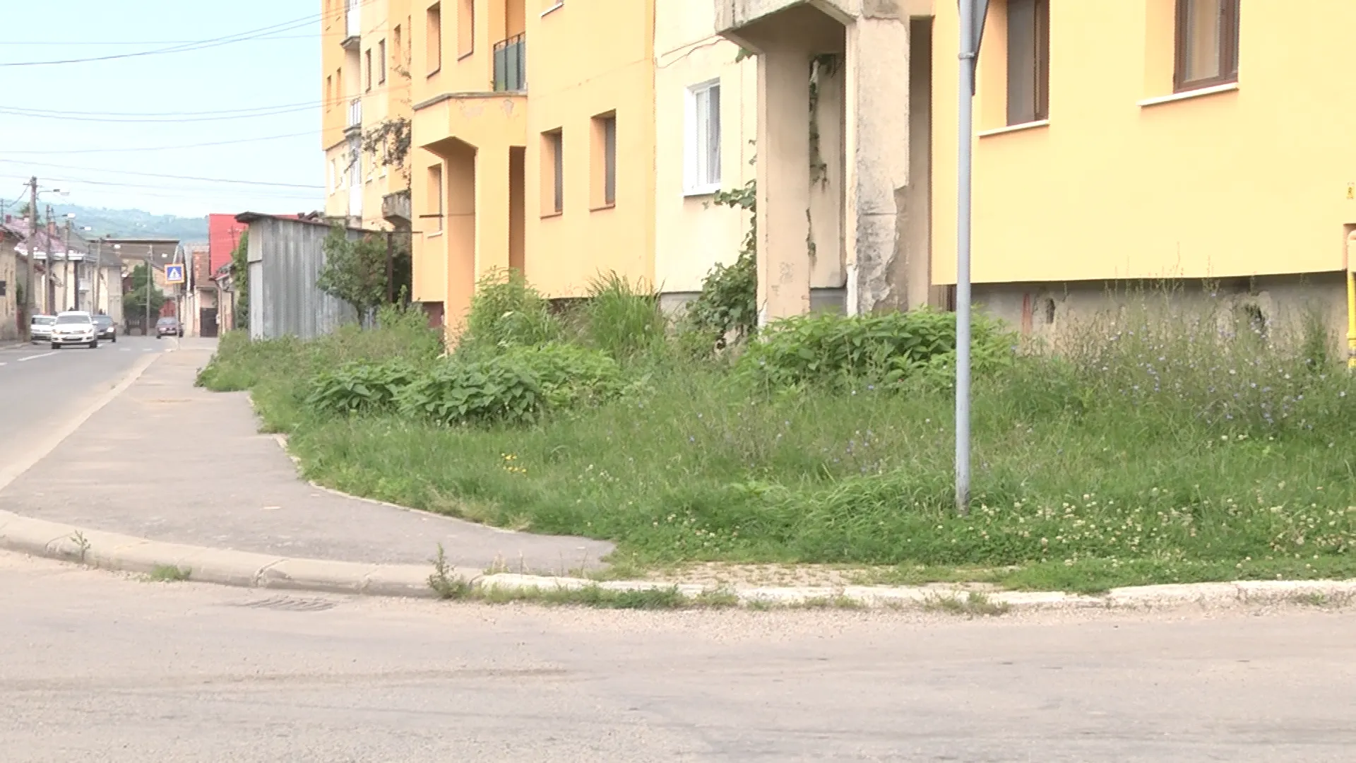 spatii verzi realitatea