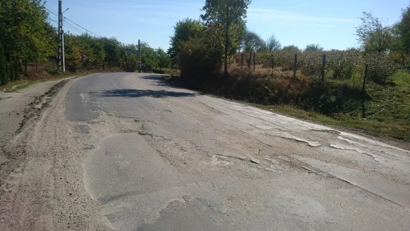 dn 18b lapus