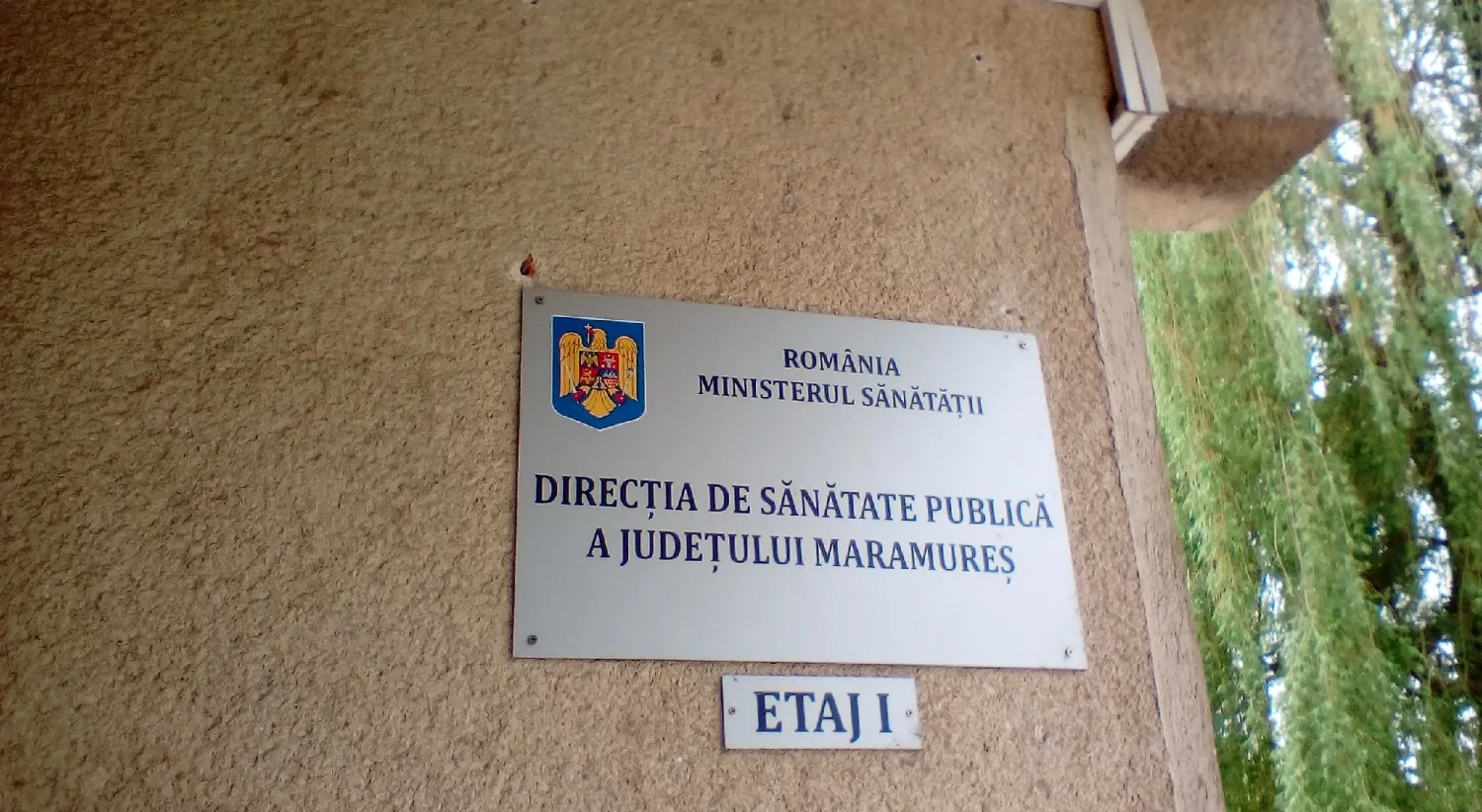 DSP-e1524057546328