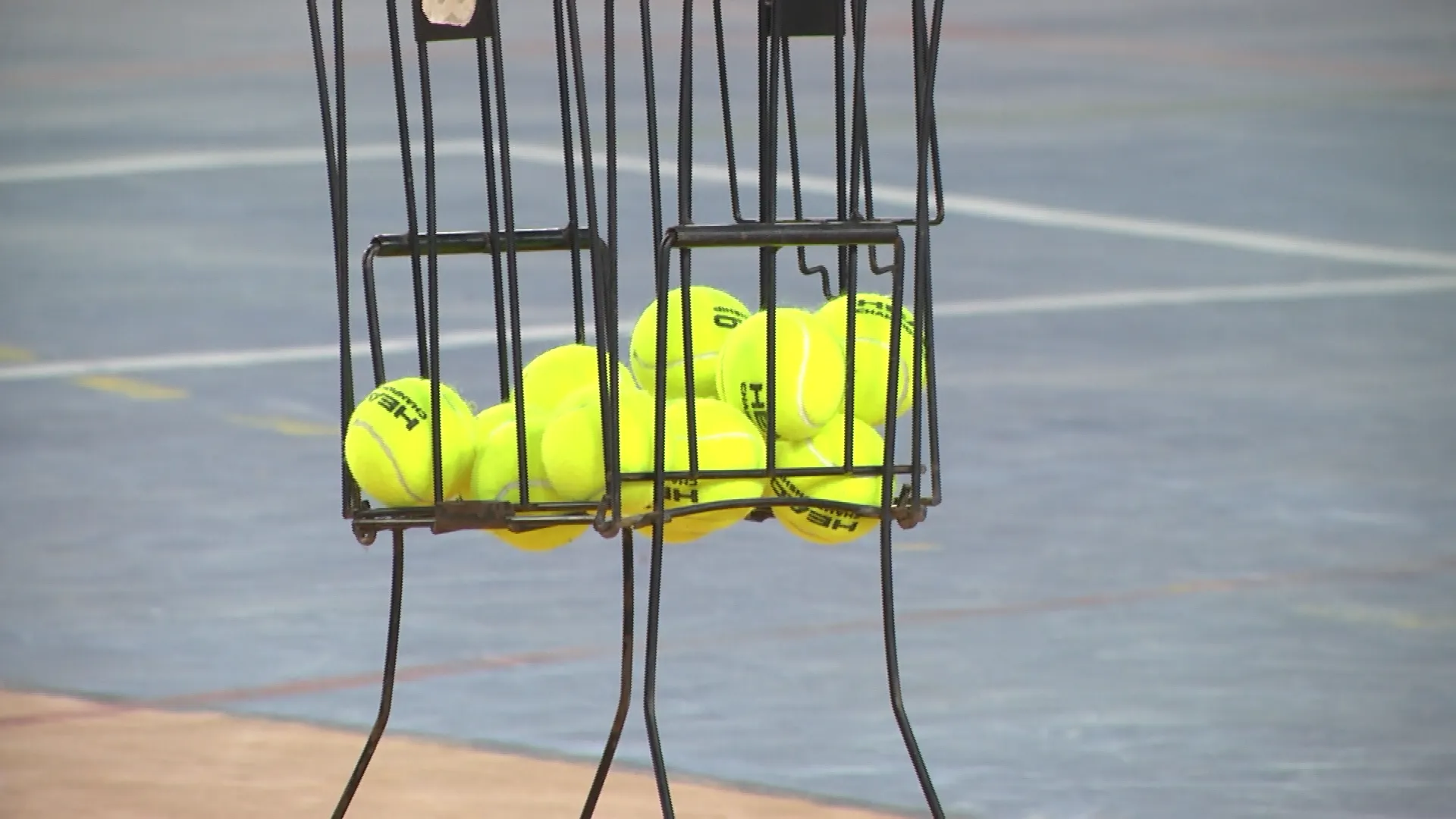 tenis
