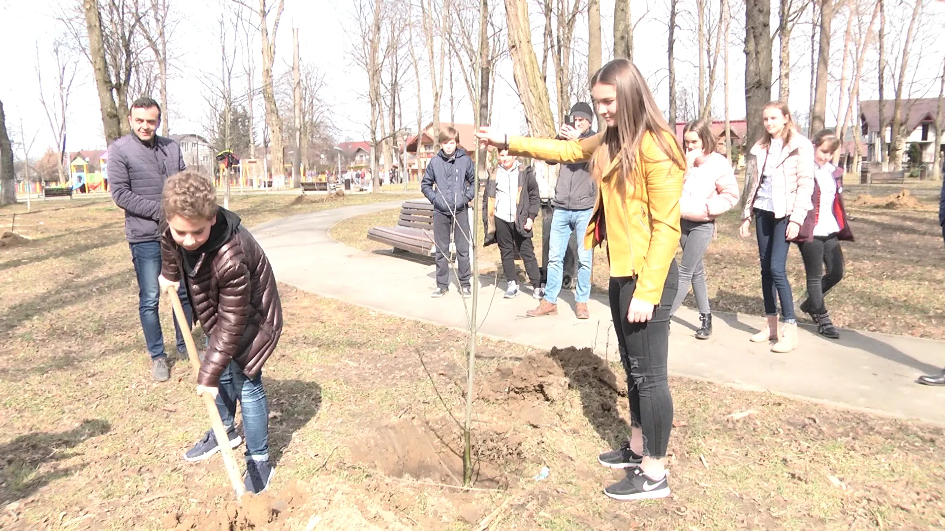 S-AU PLANTAT COPACI ÎN PARCUL GRĂDINA MORII