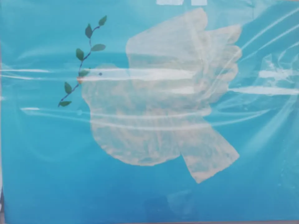 60350955_10216814111523224_8497718500238819328_n