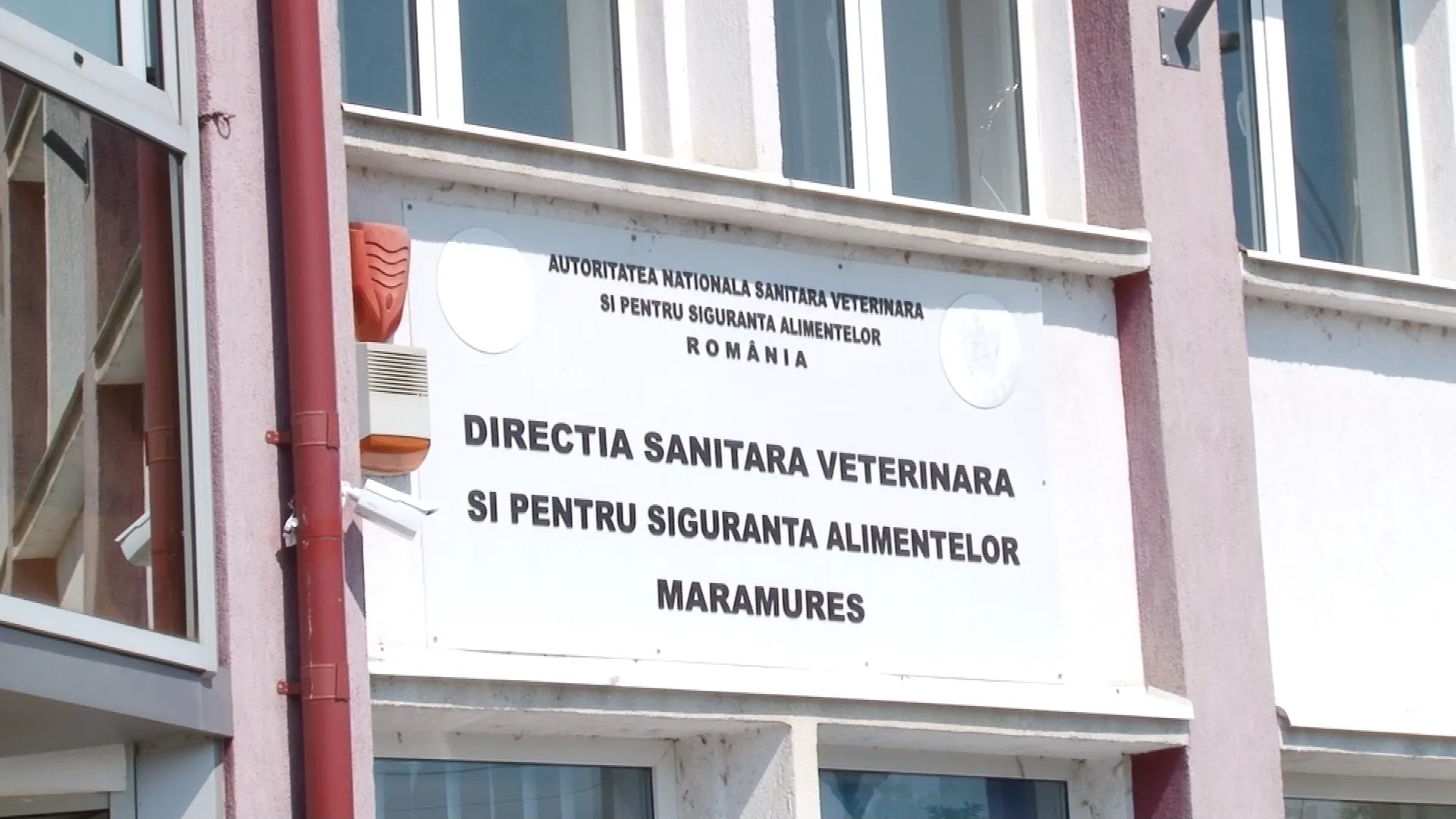 dsvsa