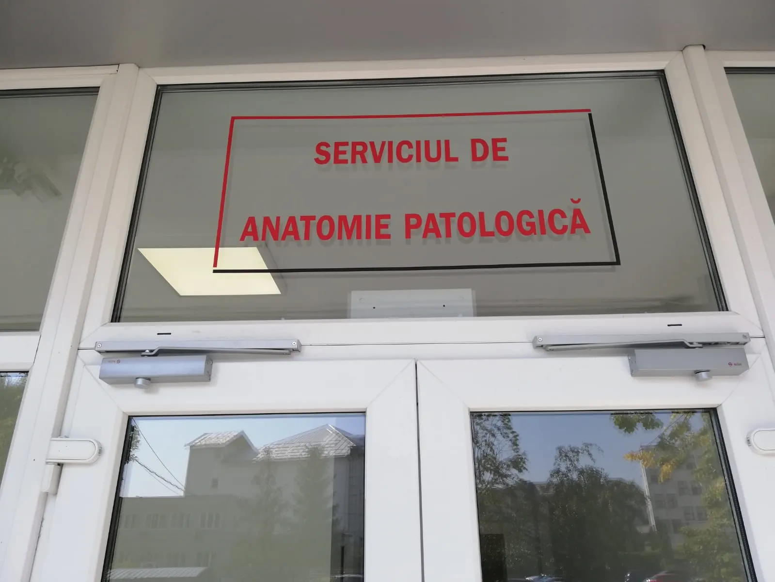Anatomie Patologica