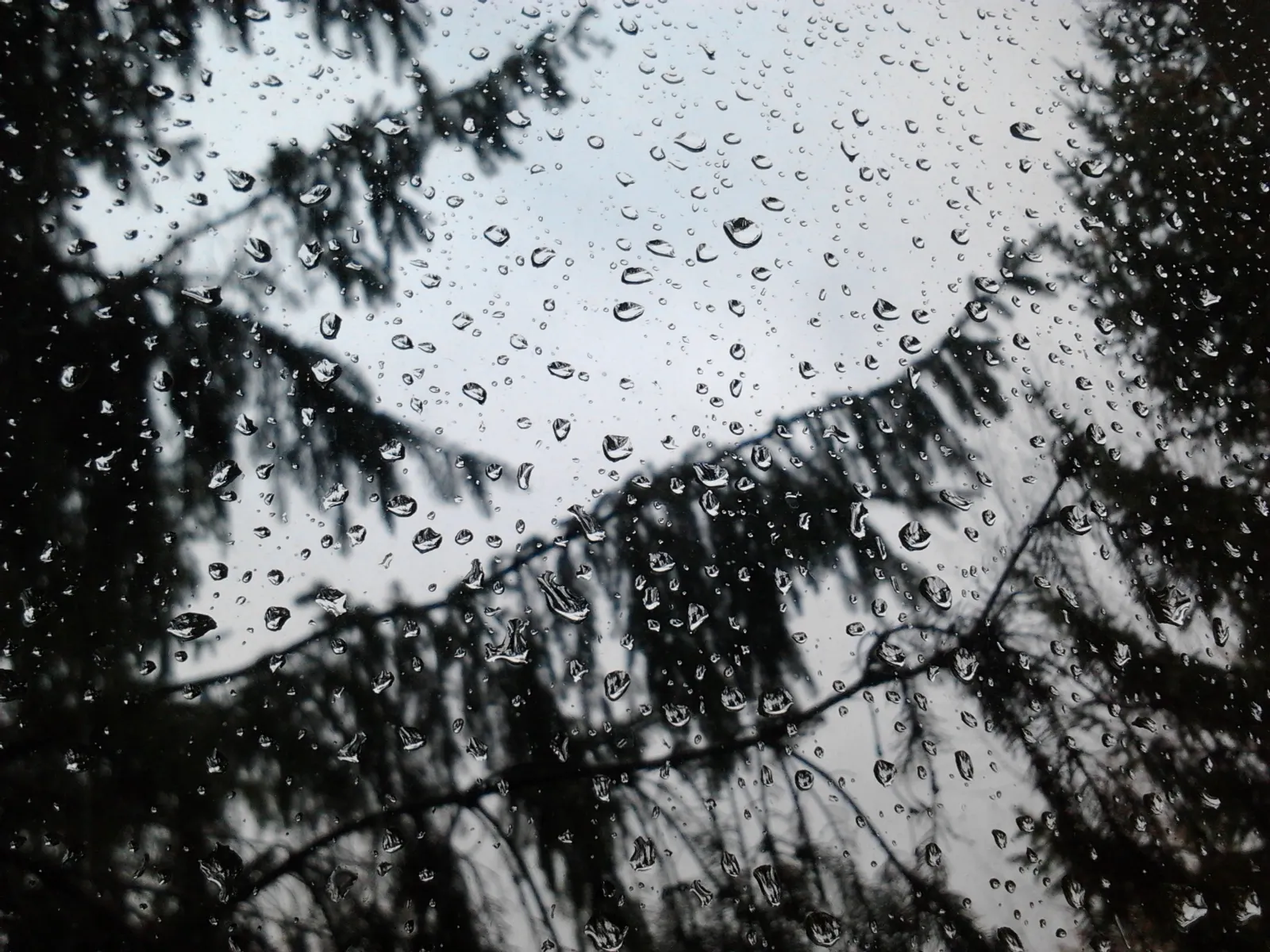 2013-01-18-10-40-31