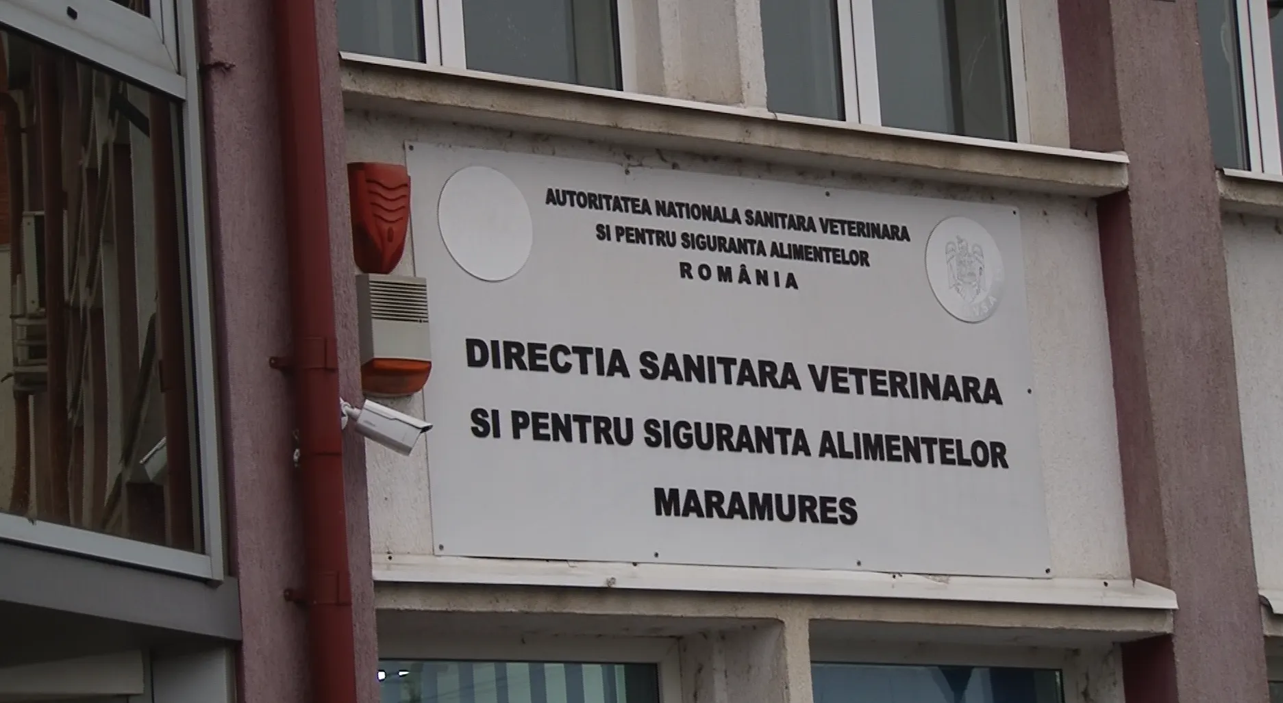 dsvsa