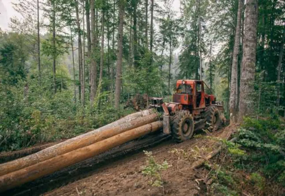 Activitate infracţională în domeniul silvic stopată de poliţişti –peste 132 mc lemn confiscat şi amenzi în valoare de 23000 de lei aplicate pentru neregulile constatate 