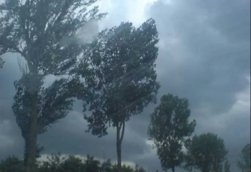 Cod galben de ploi și vijelii în Maramureș