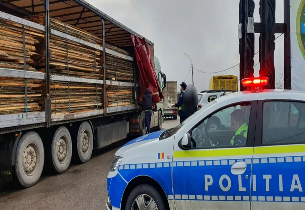 Peste 170 mc de material lemnos confiscat în acest week-end de polițiștii maramureșeni   