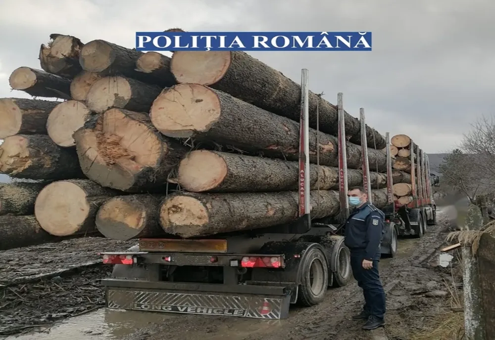 Material lemnos confiscat de polițiștii din Sighetu Marmației