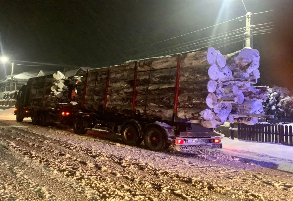 Peste 330 mc de material lemnos confiscat de poliţiştii din Maramureş