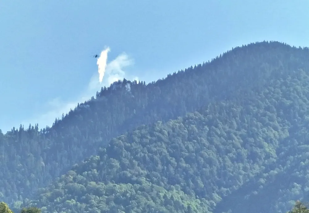 Pompierii militari maramureșeni au intervenit la un incendiu de fond forestier semnalat pe Valea Vaserului