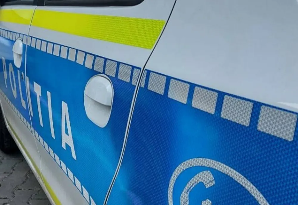 Polițiști amenințați cu sabia, la o intervenție în Maramureș