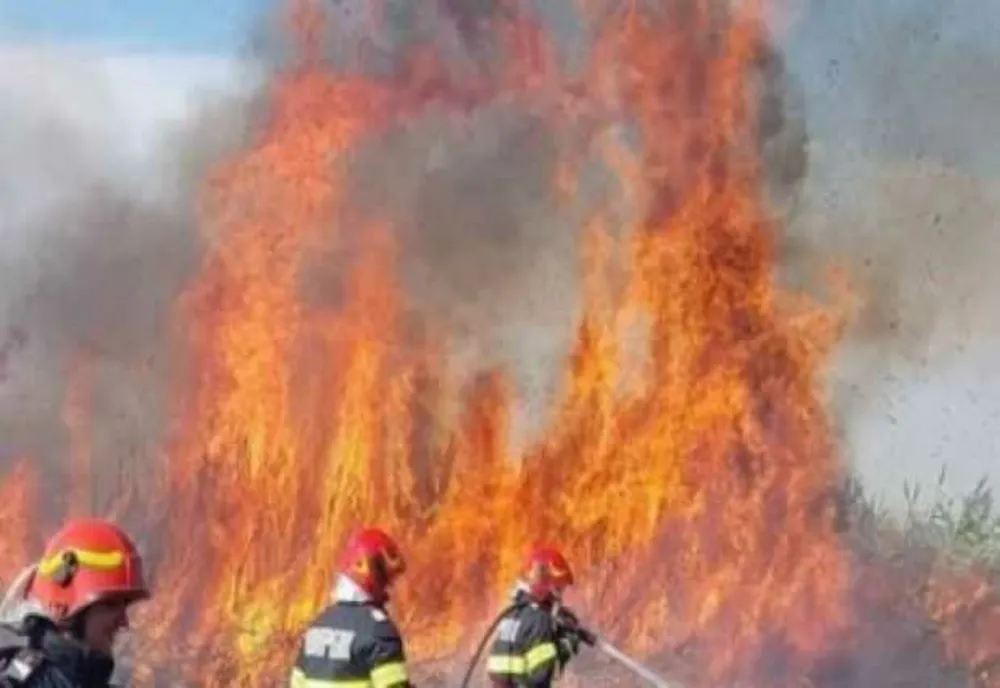 TRAGEDIE ÎN MARAMUREȘ: FEMEIE GĂSITĂ MOARTĂ DUPĂ UN INCENDIU VIOLENT DE VEGETAȚIE
