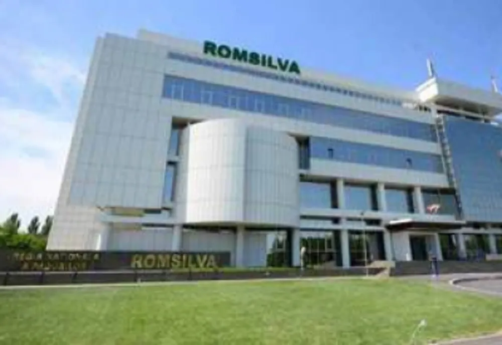 PROPUNEREA DE REORGANIZARE A ROMSILVA S-A TRADUS ÎNTR-UN PROIECT ERONAT