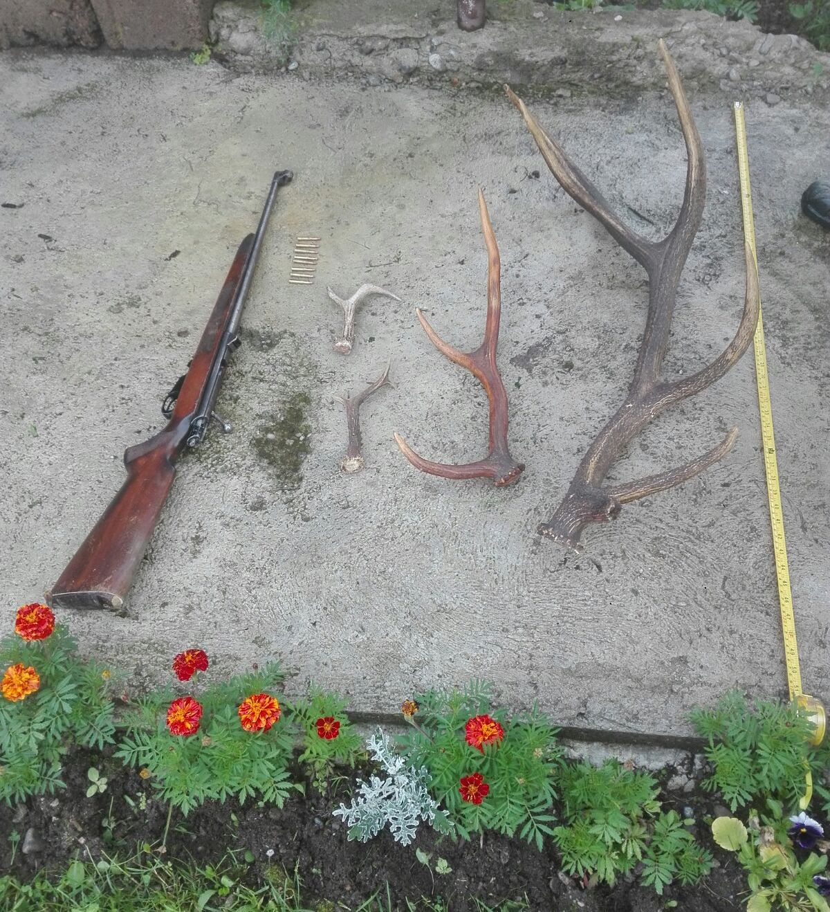 c324112a-4f80-4f03-82d9-644c0c9b9e41