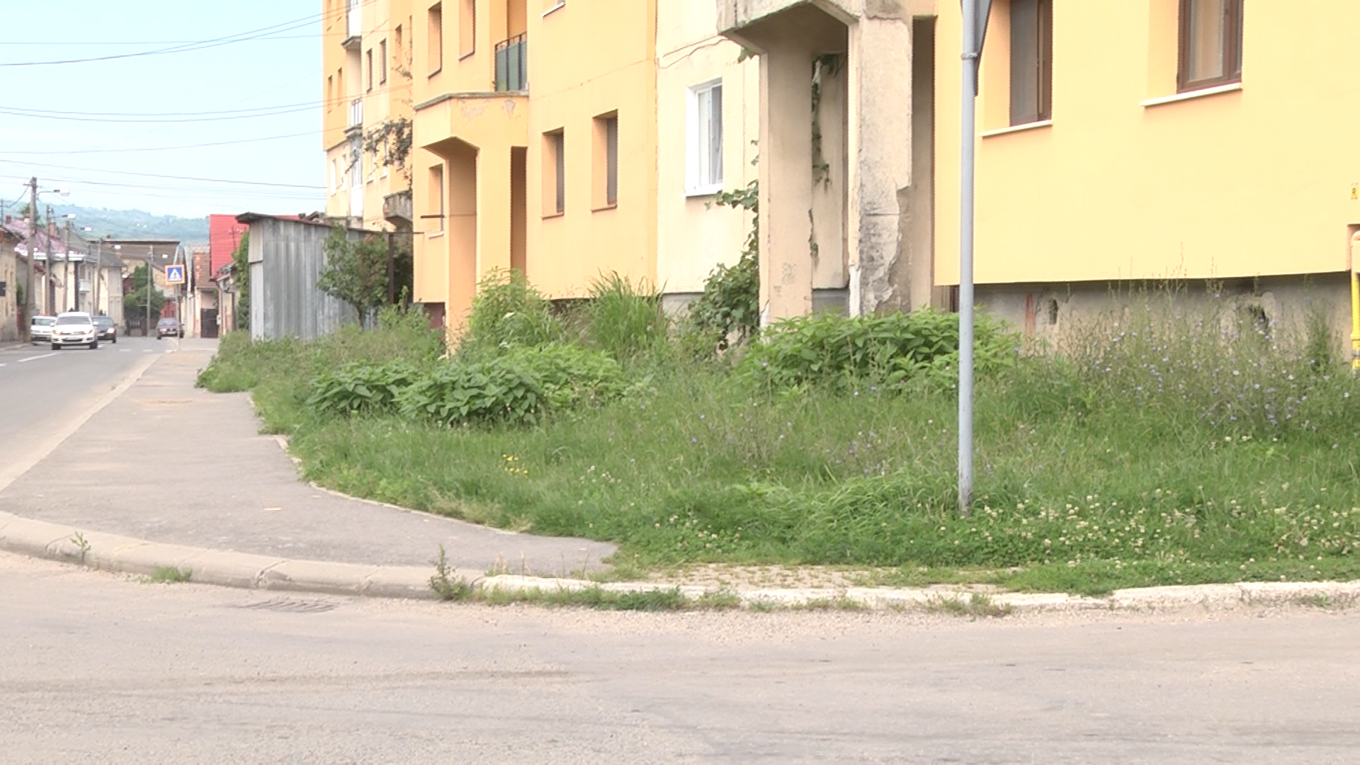 spatii verzi realitatea