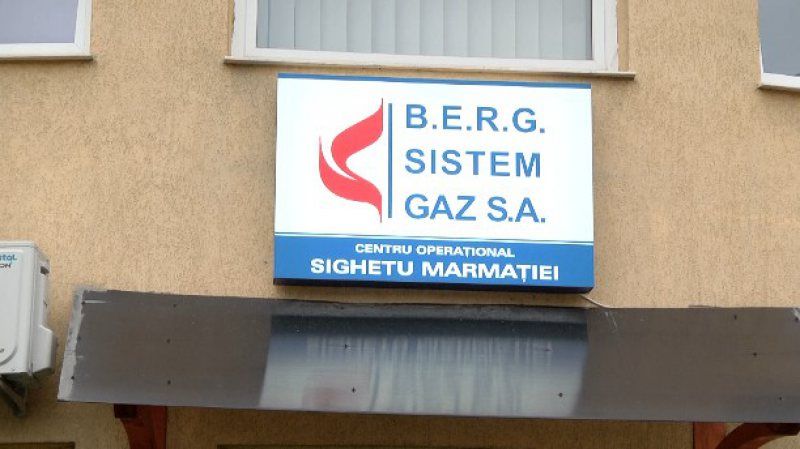 REZULTATELE EXPERTIZEI