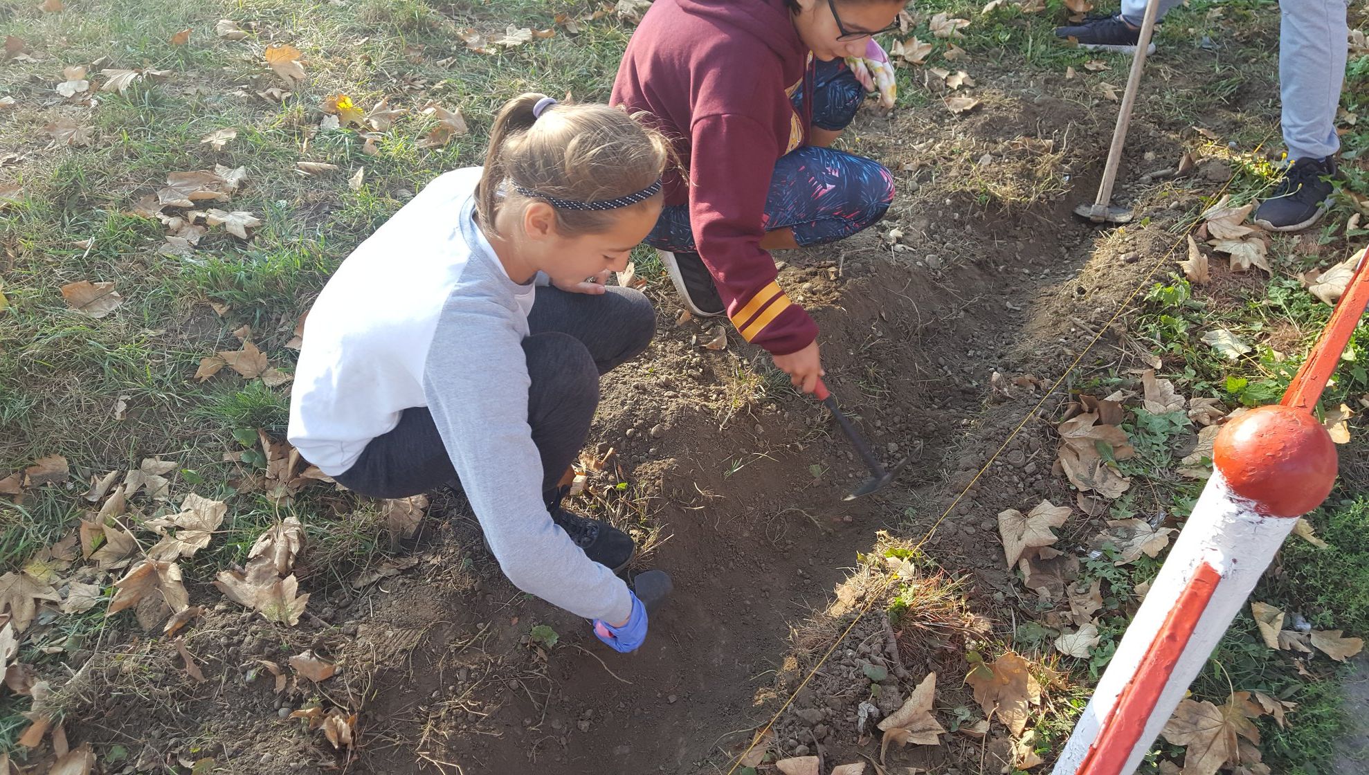 42264957_2346715092035862_6912259076999086080_o