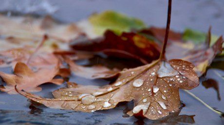 vremea_ploaie_35225700