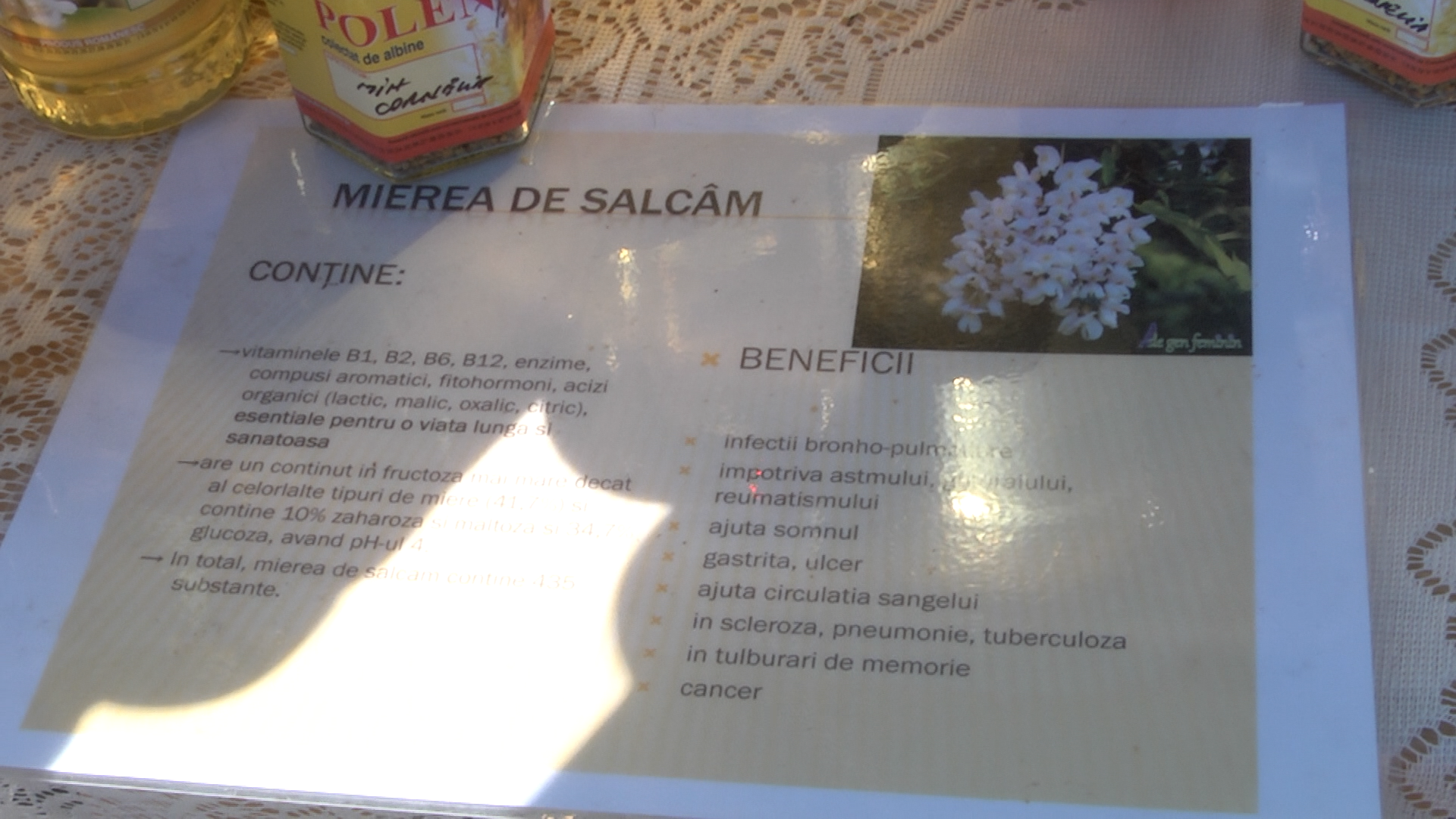 43000412_329466964268139_4286576768149618688_n