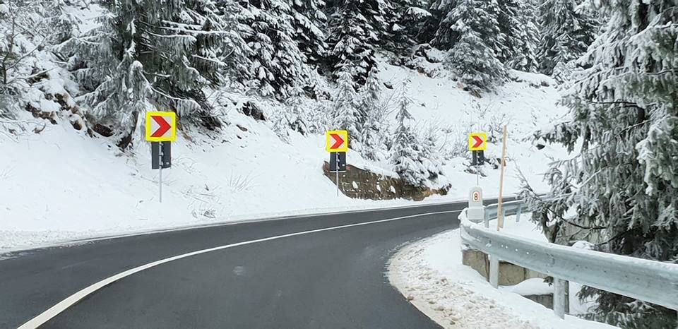 48397708_2110686632303753_8703067964766683136_n