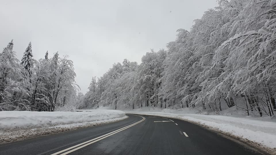 49898489_2137384426300640_5512169437232365568_n