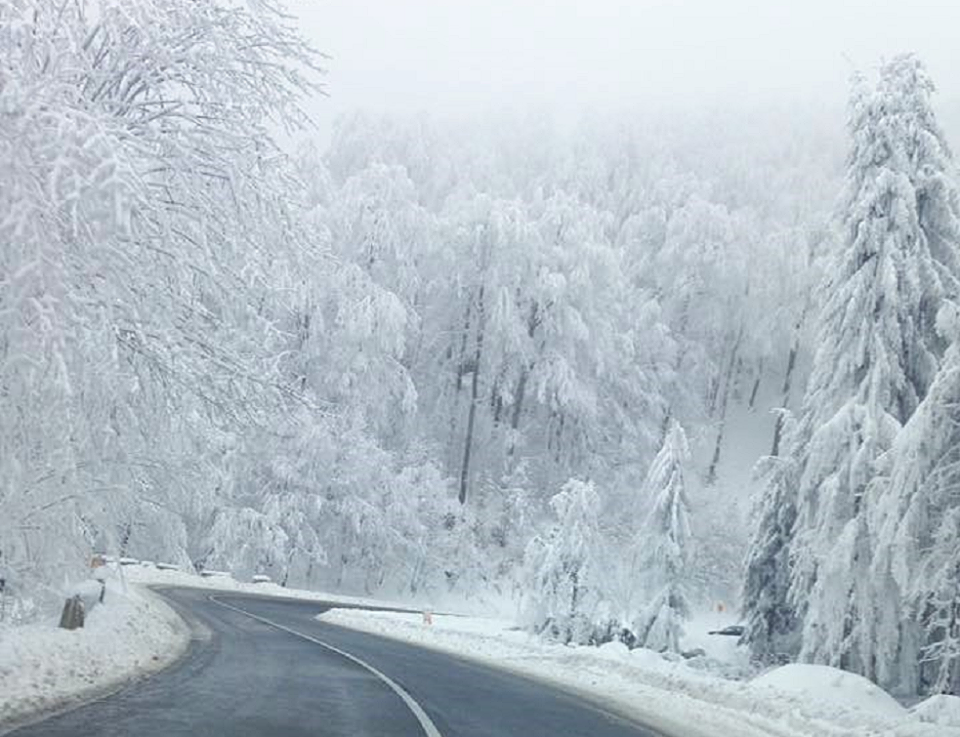 50314468_2148398401865909_4501361678826340352_n