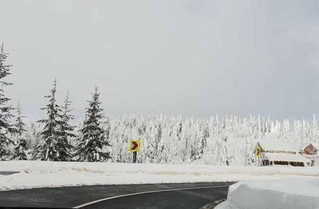 5CB82B5C-AD98-4B21-8282-A91B2FFE0A0B