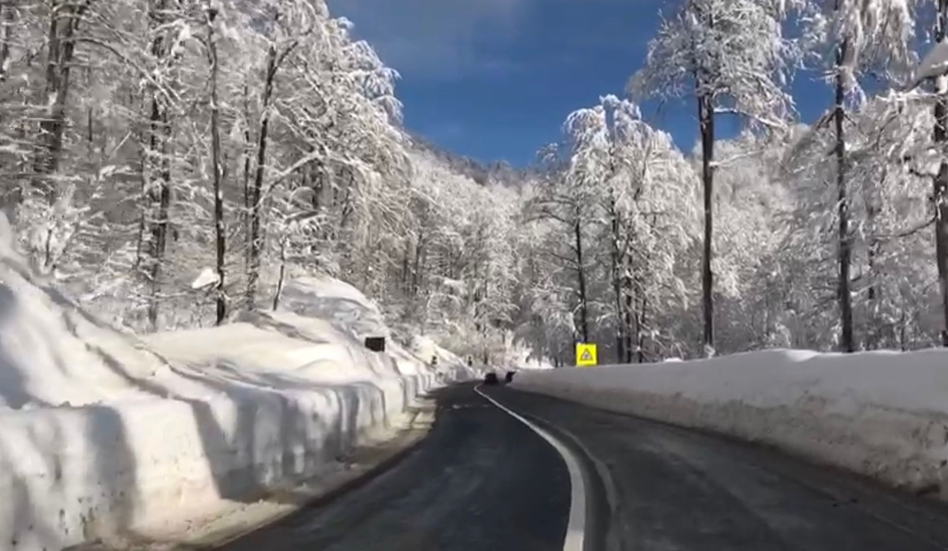 DF851D54-6DEB-4B16-A8E3-3C3B5BDBD9A7