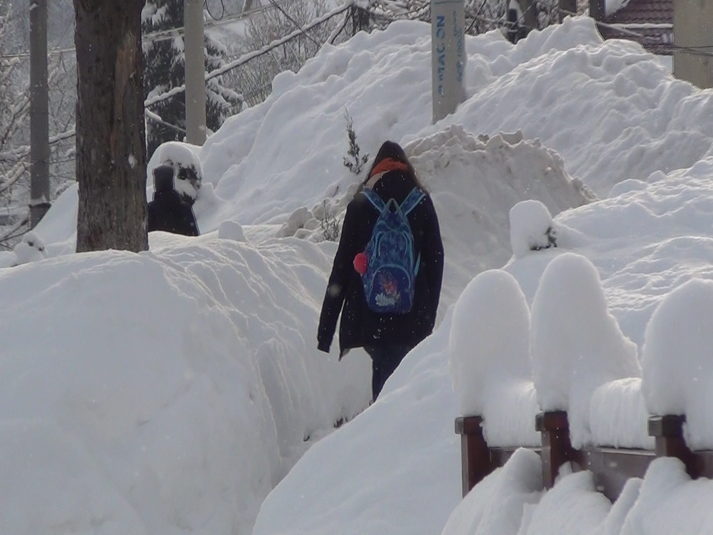 vlcsnap-2019-01-17-12h58m02s285