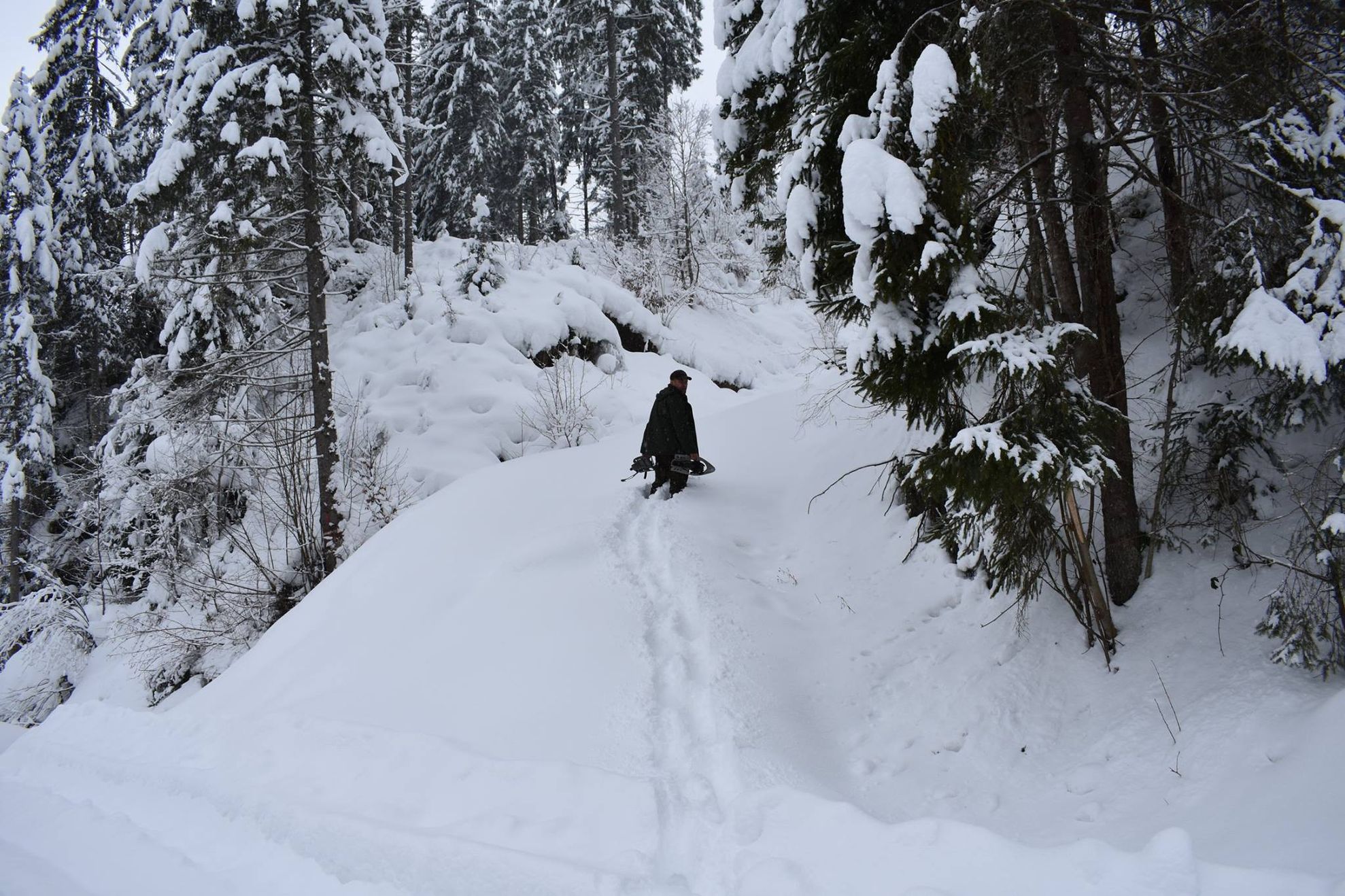 51304255_2001036616662329_4399382890178150400_o