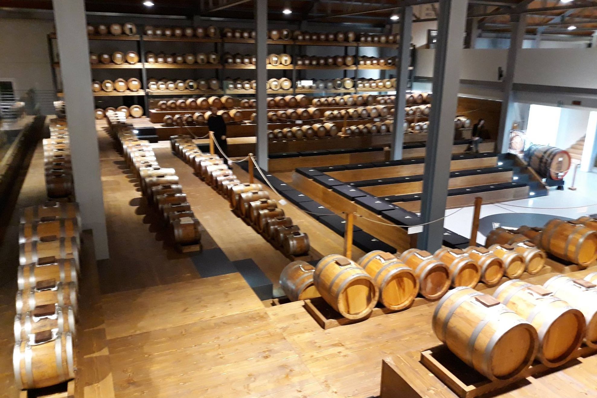 51785992_2125973934115630_3109873131976654848_o