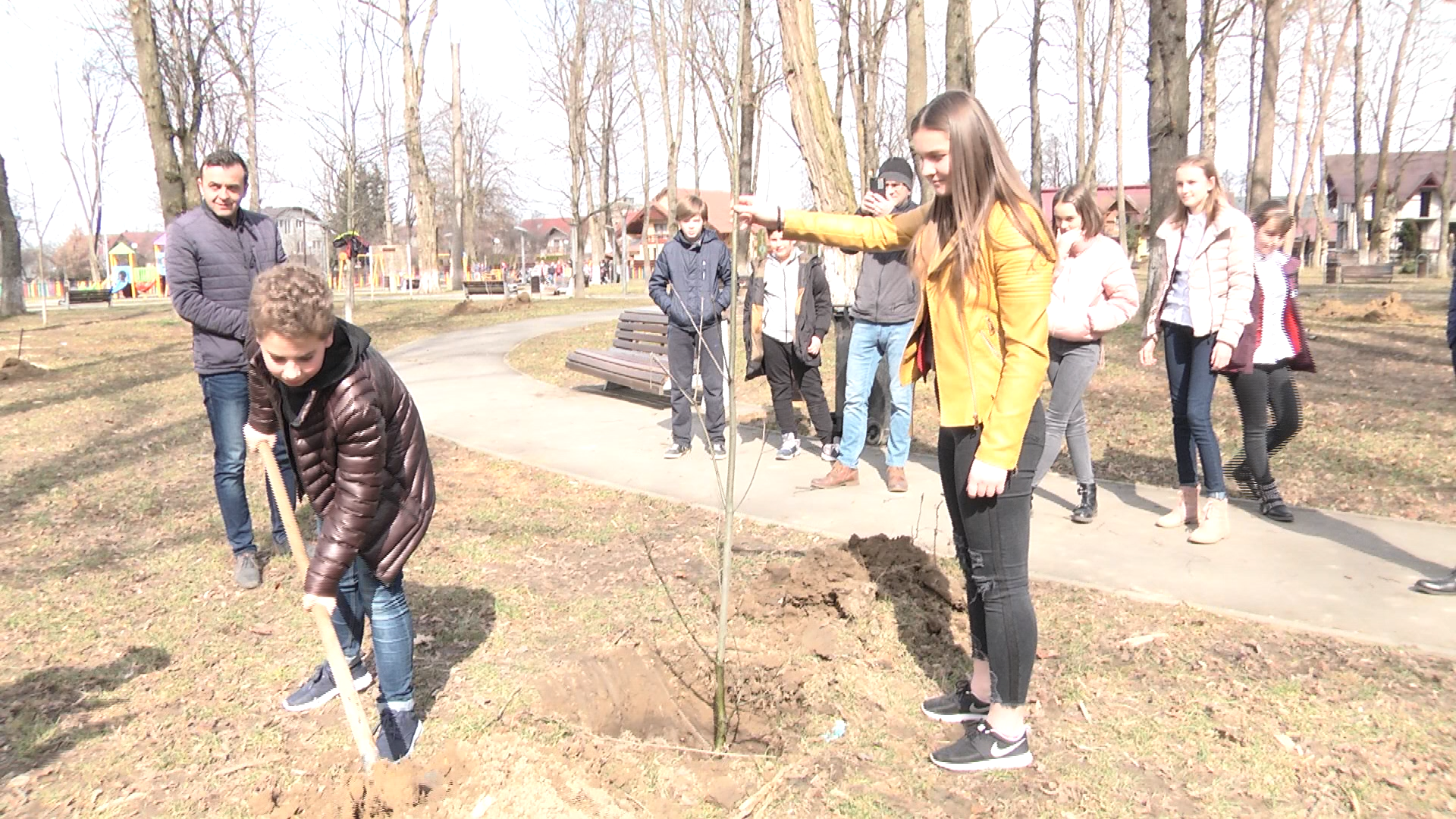 S-AU PLANTAT COPACI ÎN PARCUL GRĂDINA MORII